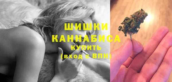 молекула духа Аркадак